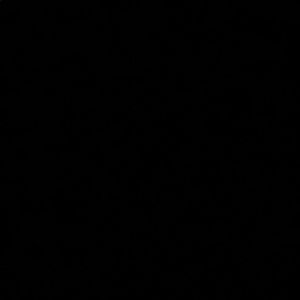 Meet your Posher, Mariah